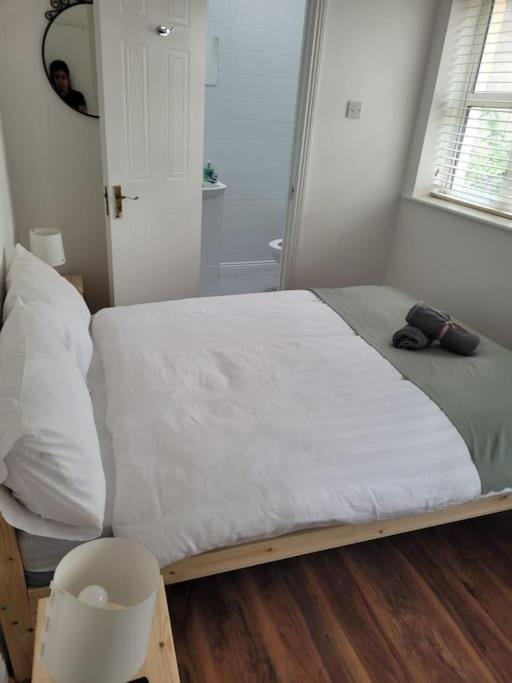 Stylish 4 Bedroom Dublin House Kültér fotó