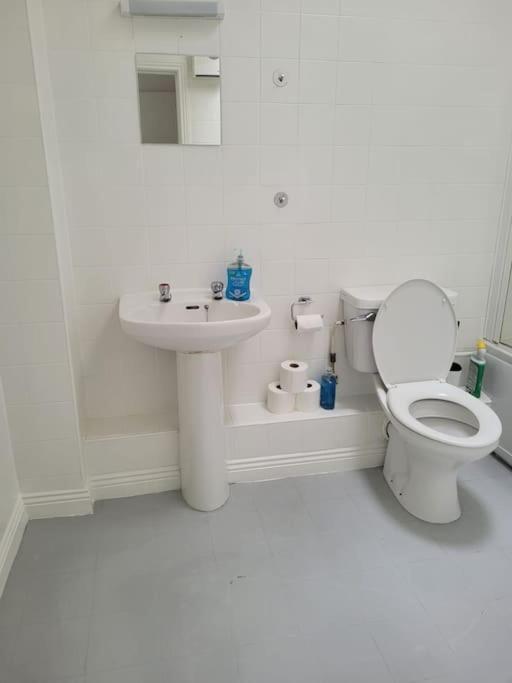 Stylish 4 Bedroom Dublin House Kültér fotó